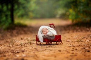 Flower Mound Newborn Photographer