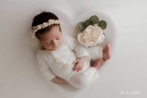 grapevine newborn photography