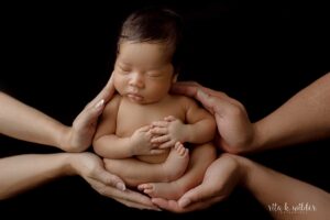 Newborn Photography Ardyle